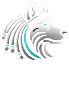 BLUEDOG GENETICS