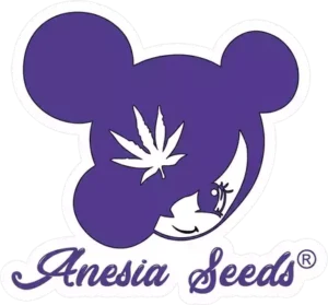 Anesia Seeds