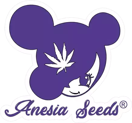 Anesia Seeds