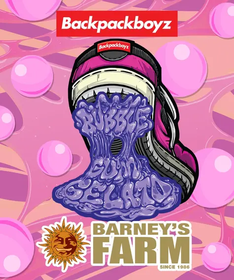 Bubblegum Gelato de Barney's Farm x Bakcpack Boyz