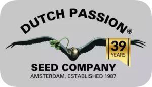Dutch Passion