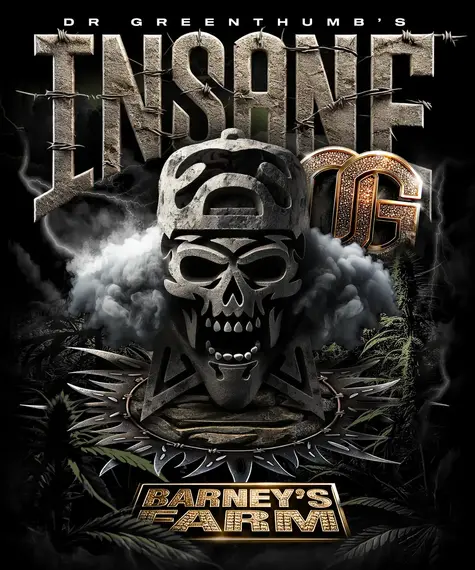 Insane OG de Barney's Farm