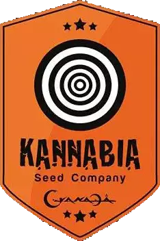 Kannabia Seeds