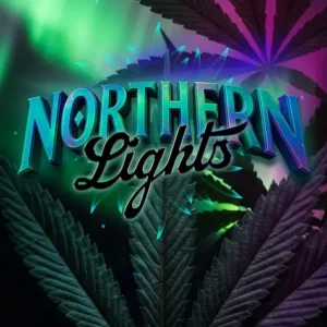 Northern Lights de Barney's Farm