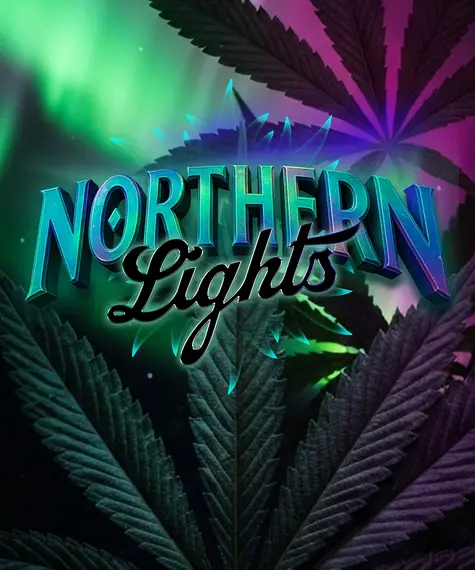 Northern Lights de Barney's Farm