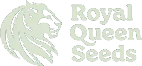Royal Queen Seeds