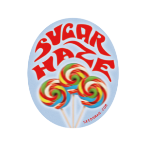 Sugar Haze