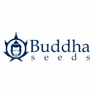 lOGO DE bUDDHA sEEDS