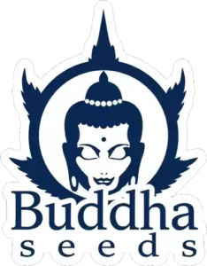 lOGO DE bUDDHA sEEDS