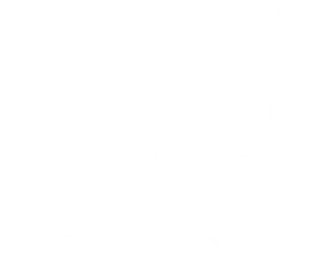 Logo The Cali Connection