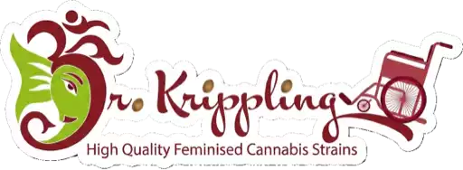 Dr Krippling