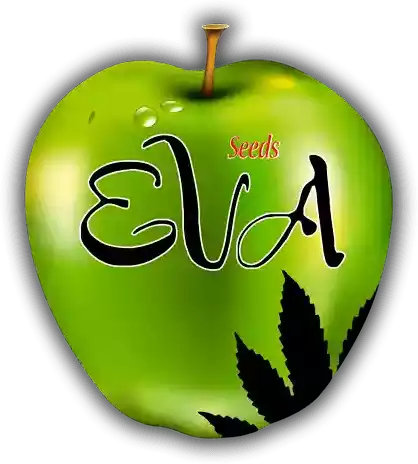 Eva Seeds