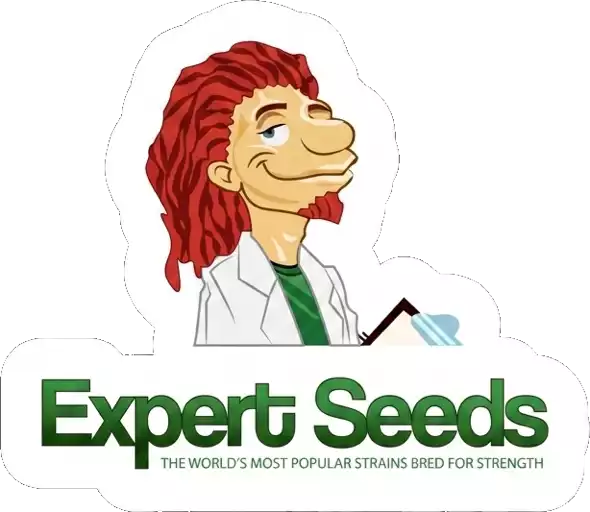 Expert Seeds