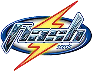 Flash Seeds