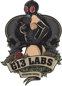 Logo de G13 Labs