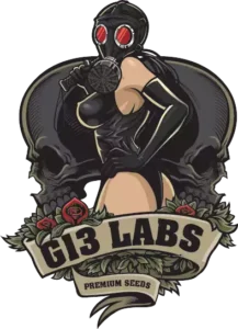 Logo G13 Labs