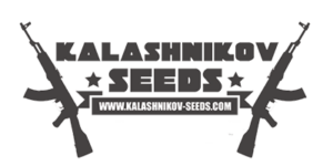 Logo Kalashnikov Seeds
