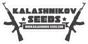 Logo Kalashnikov Seeds