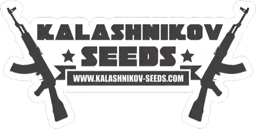 Kalashnikov Seeds