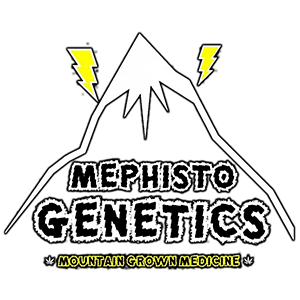 Logo Mephisto Genetics