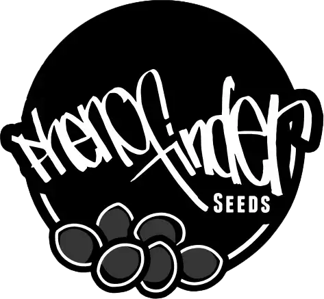 Pheno Finder Seeds