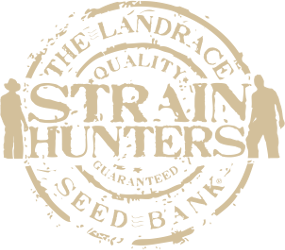 Strain Hunters Logo