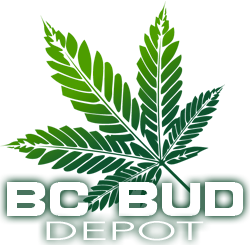 Logo BC Bud Depot