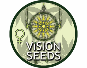 Vision Seeds logo