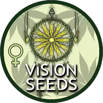 Vision Seeds