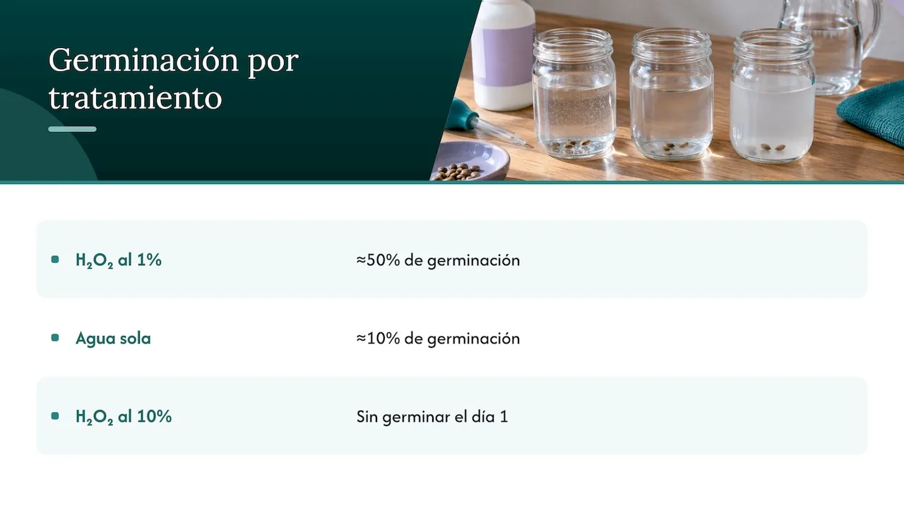 Germinación según concentración de agua oxigenada