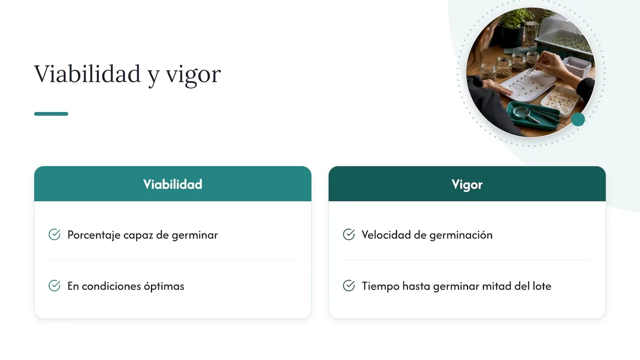 Qué significa realmente que una semilla sea "vieja" — overview diagram
